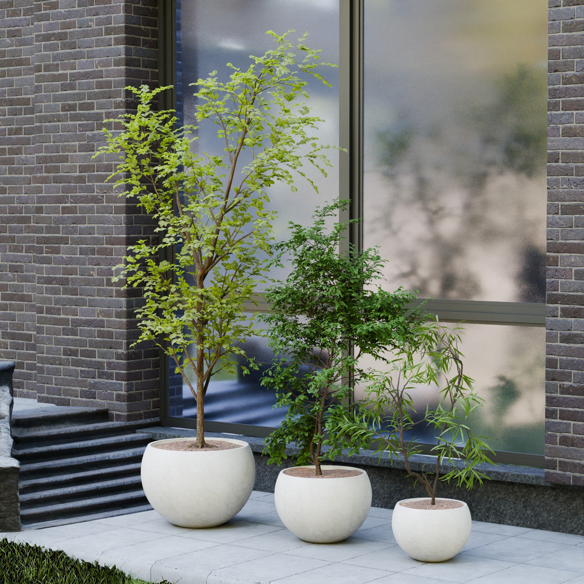 Rou Compe Self Watering Planter