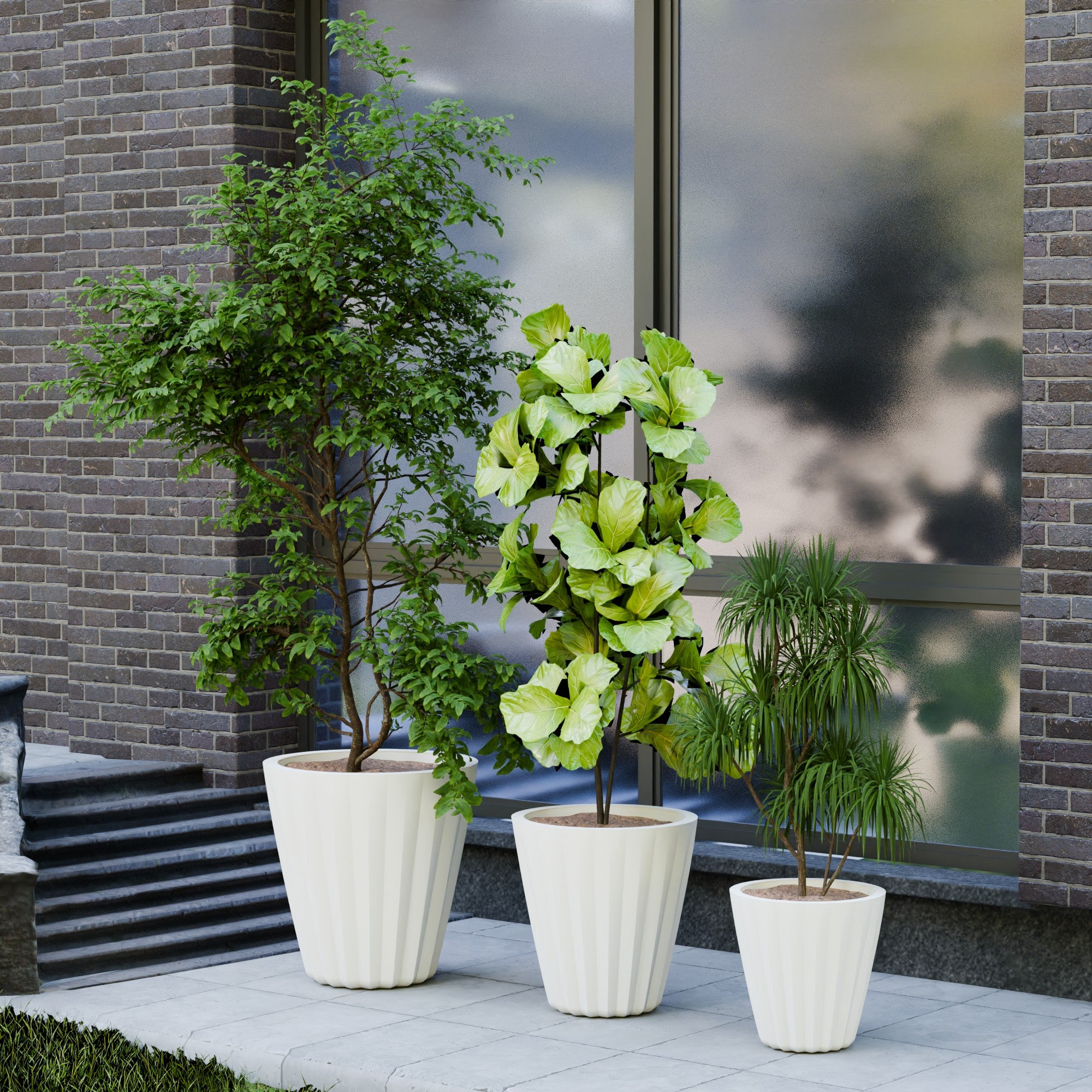 Ed Rad Self Watering Planter