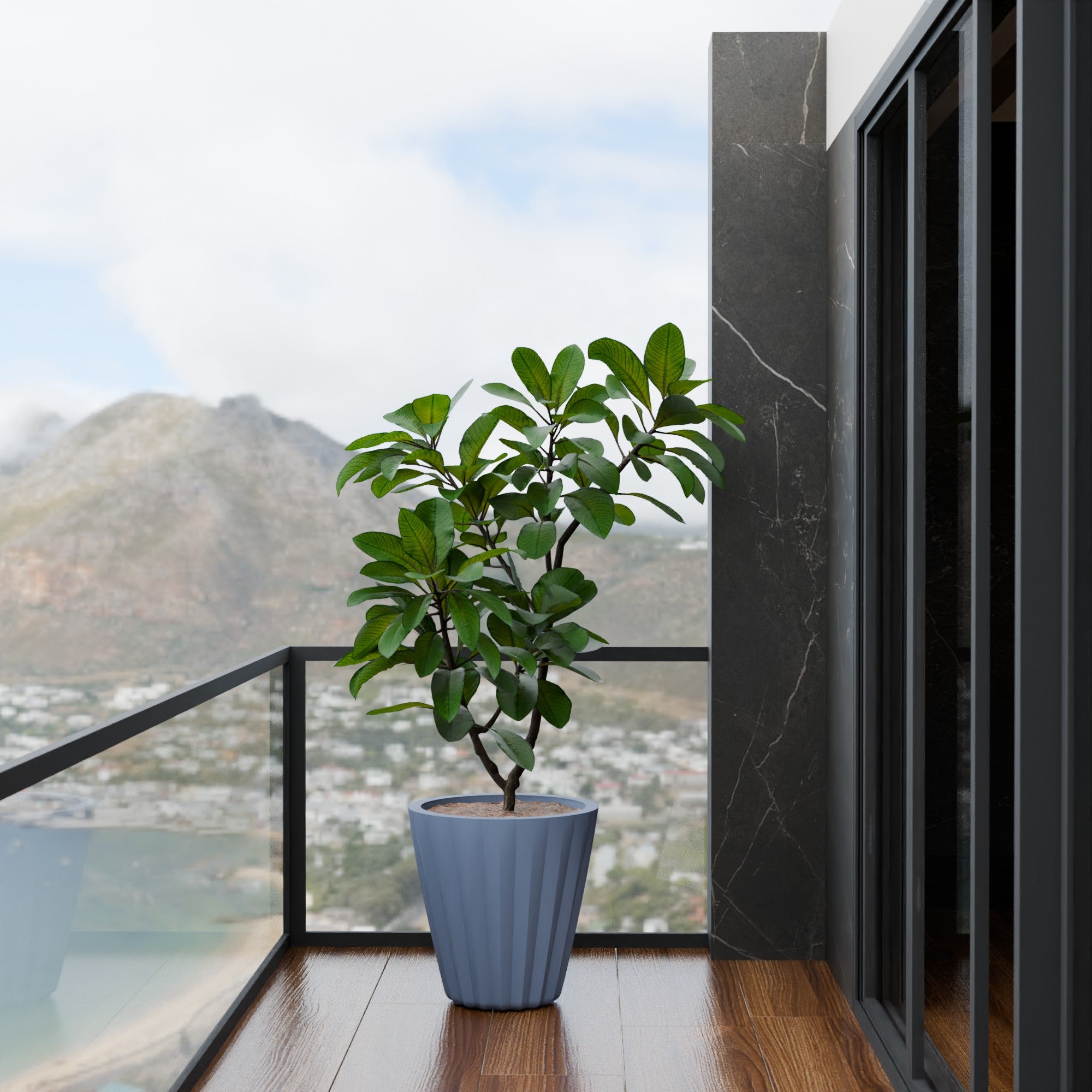 Ed Rad Self Watering Planter