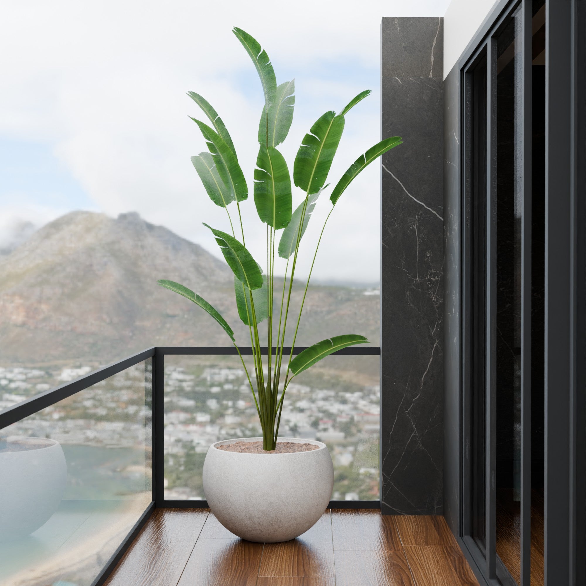 Rou Compe Self Watering Planter