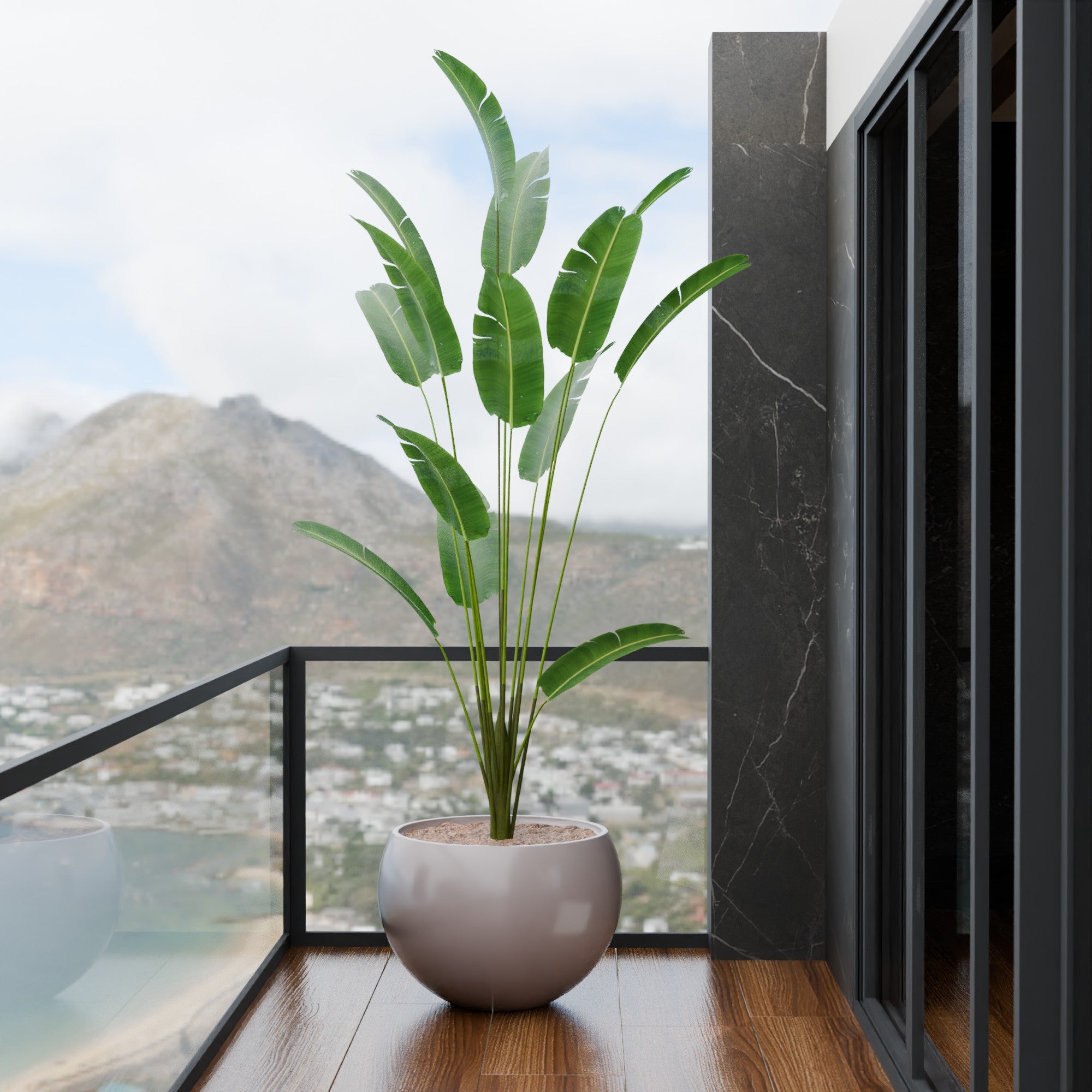 Rou Compe Self Watering Planter