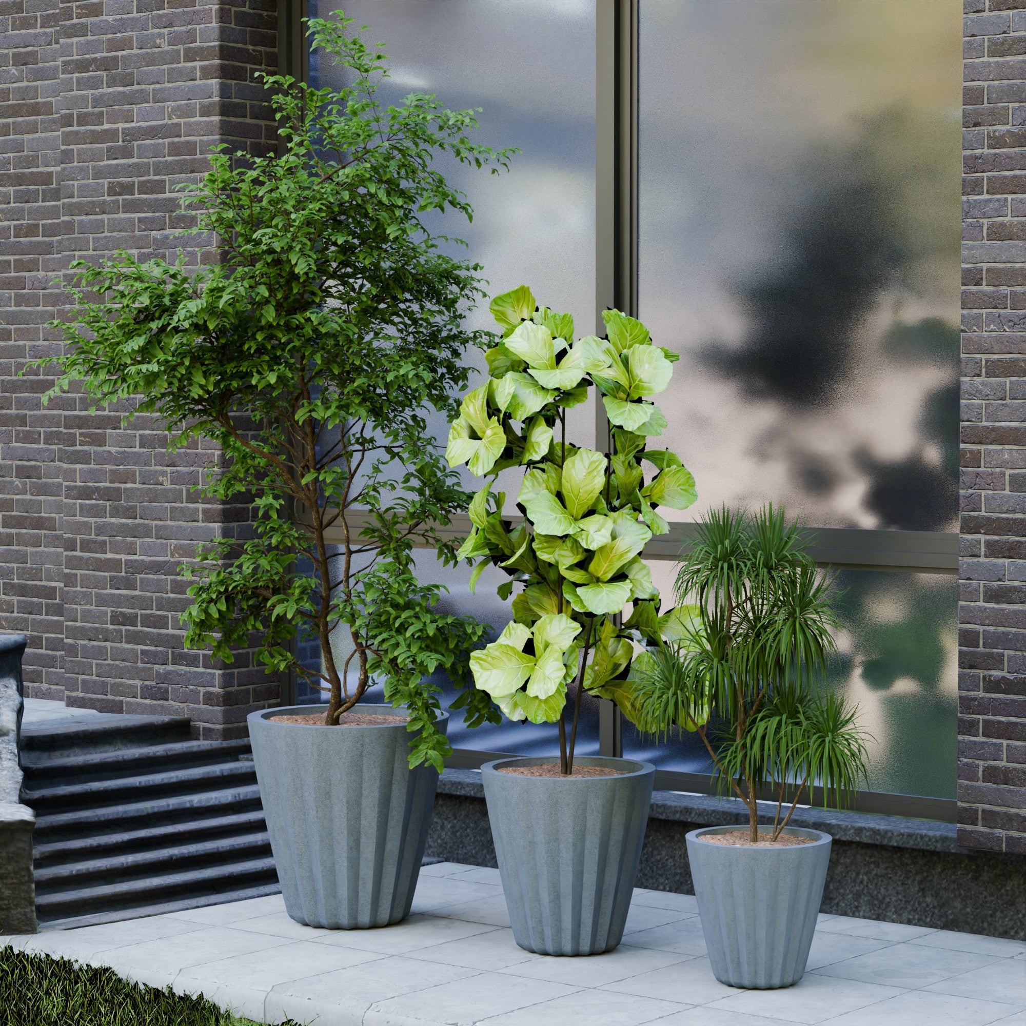 Ed Rad Self Watering Planter