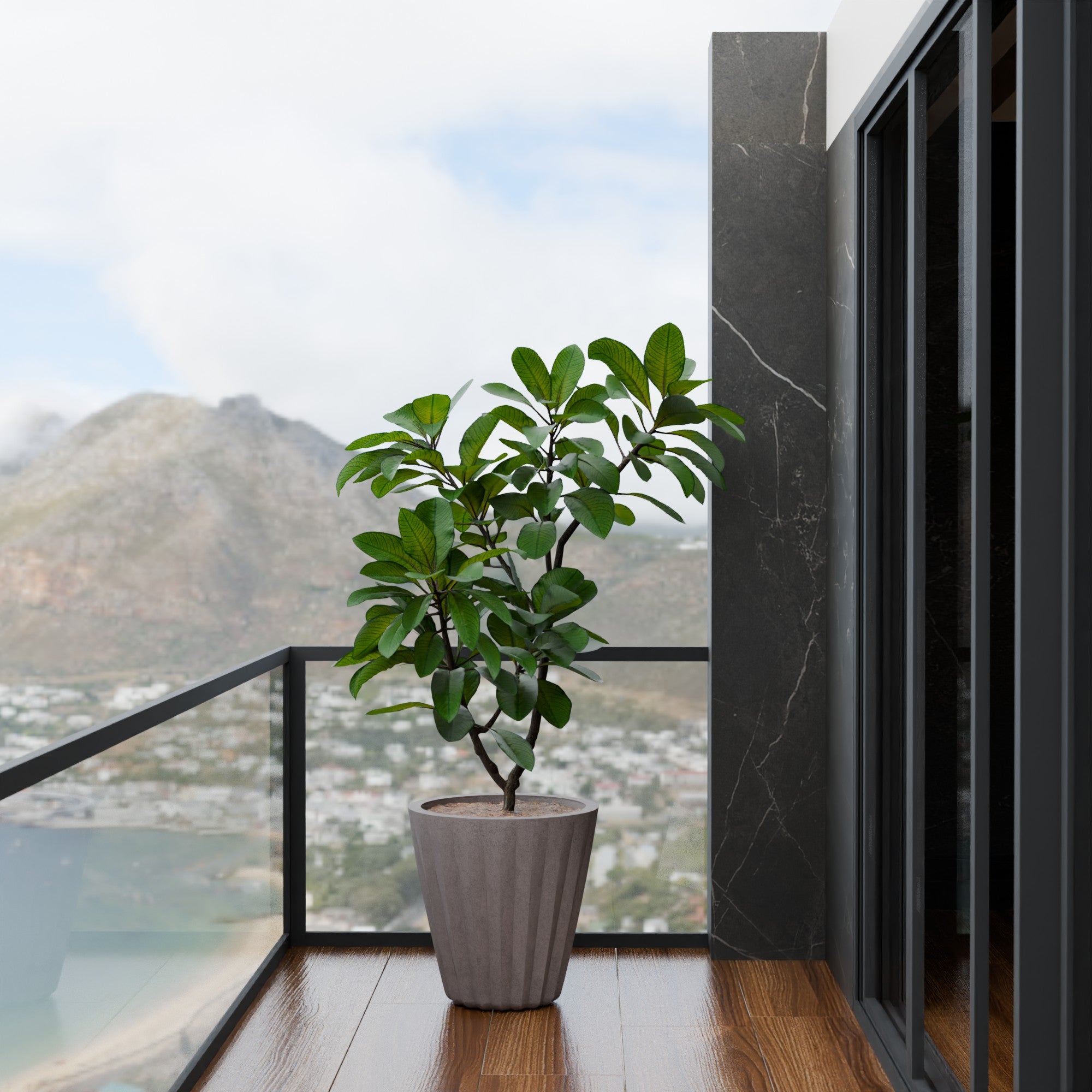 Ed Rad Self Watering Planter