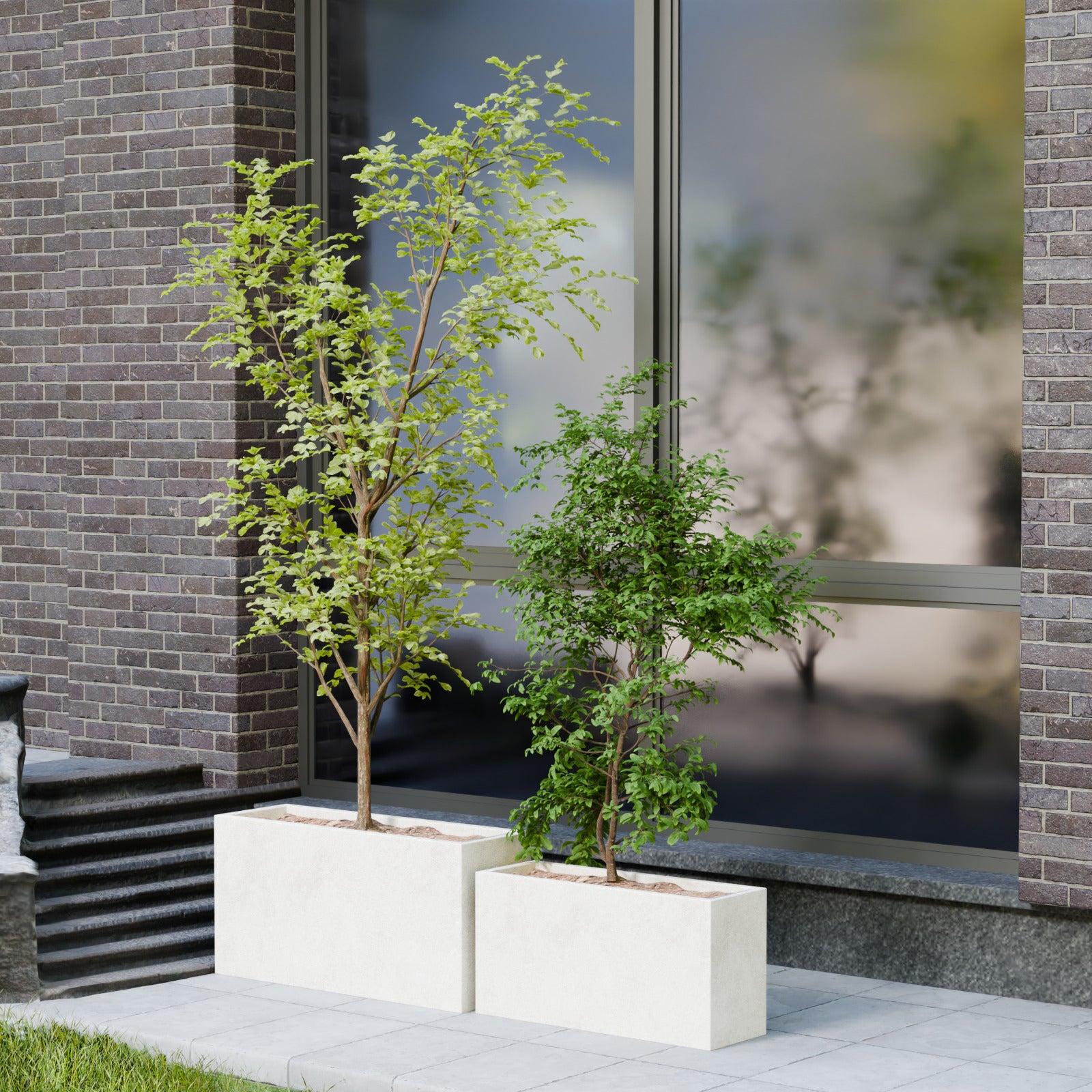 Mod Aura - Self Watering Planter