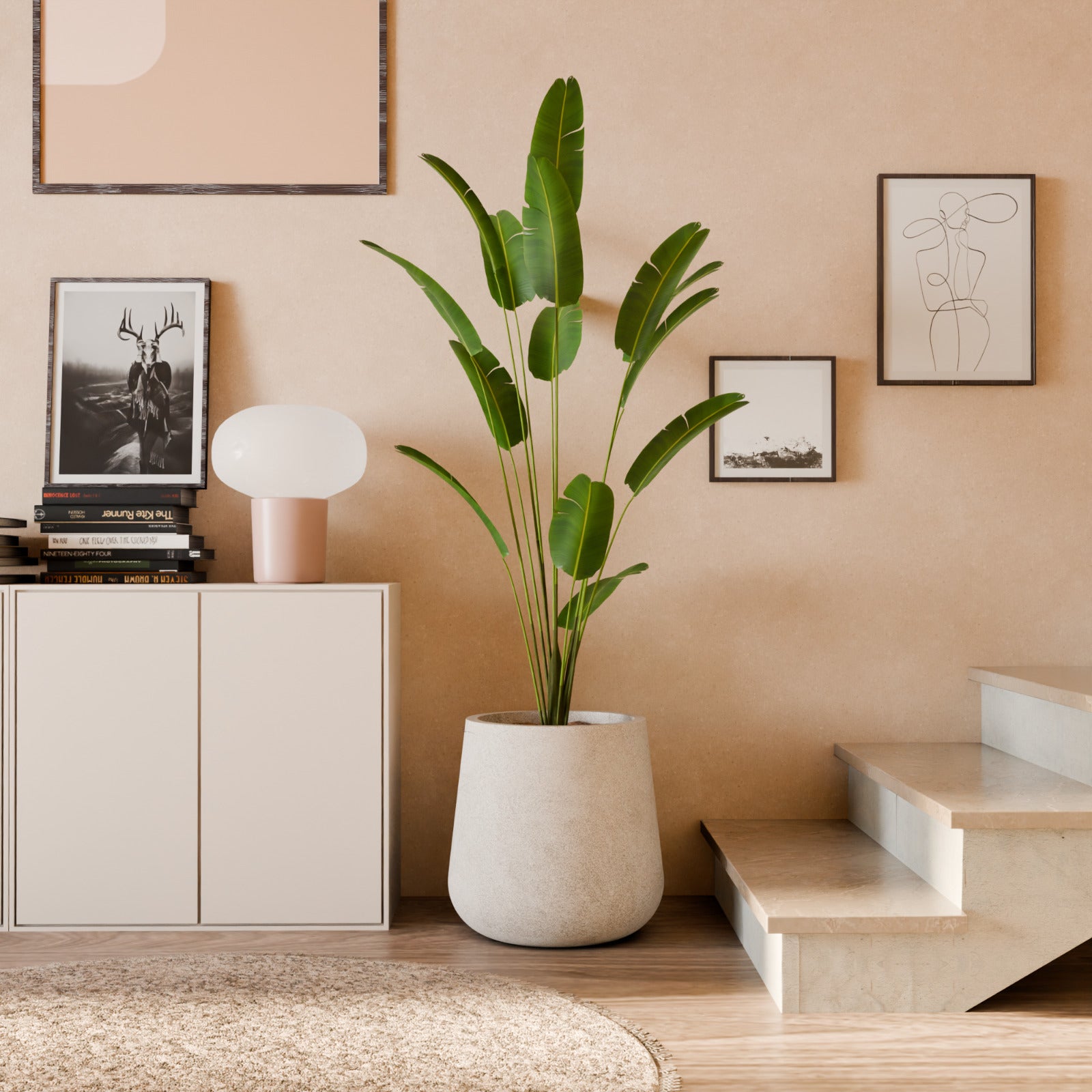 Nov Exp Self Watering Planter