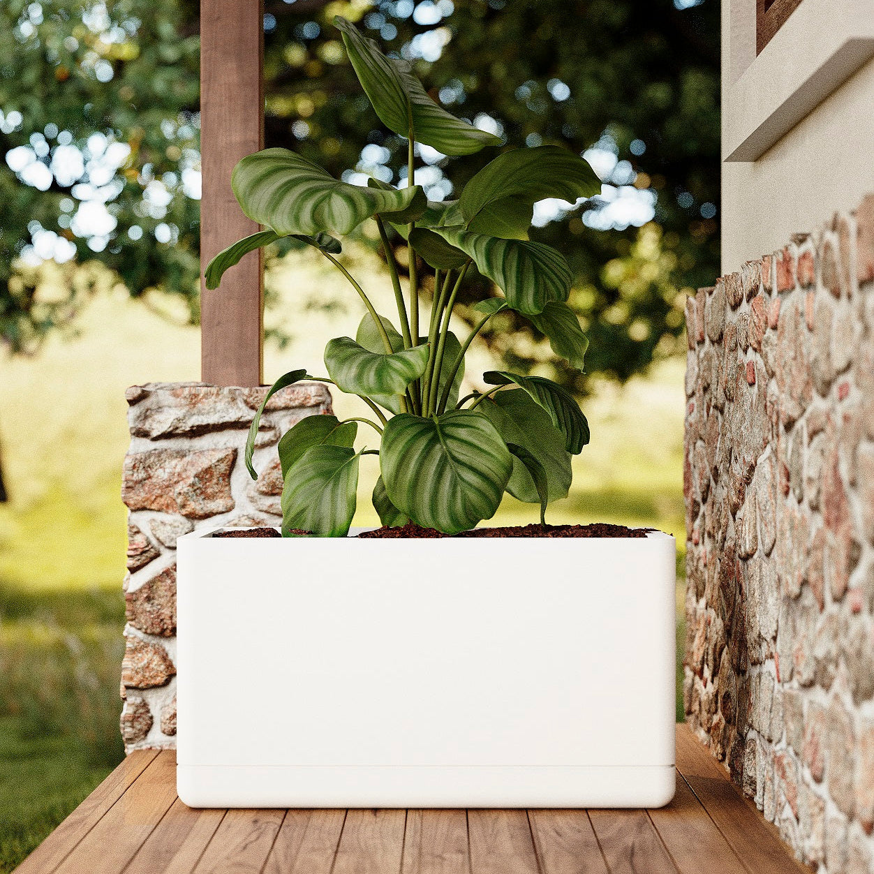 Cav Sli - Self Watering Planter