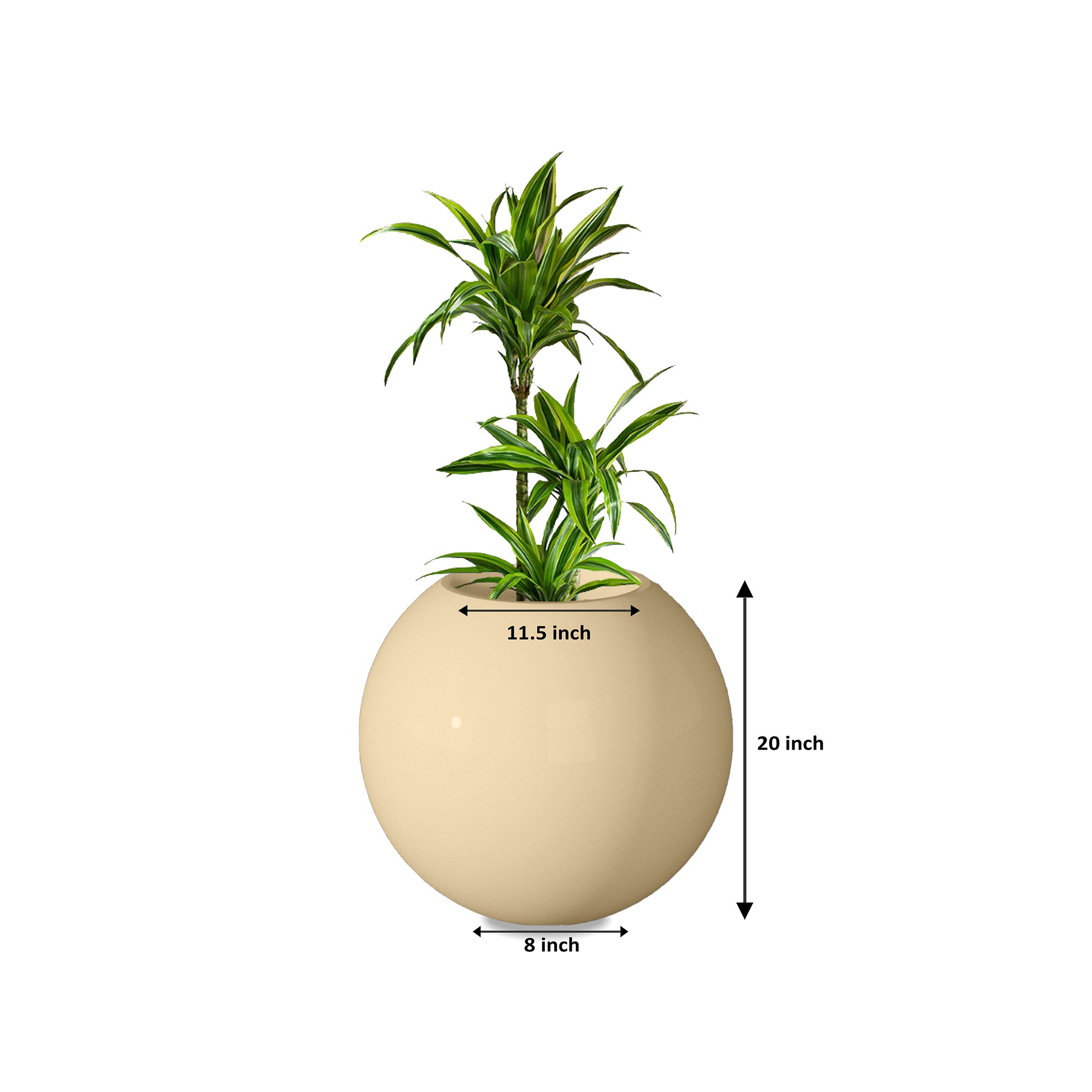 Rou Compe Self Watering Planter