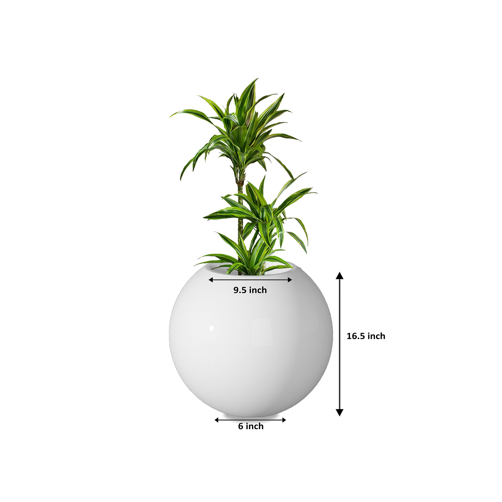 Rou Compe Self Watering Planter