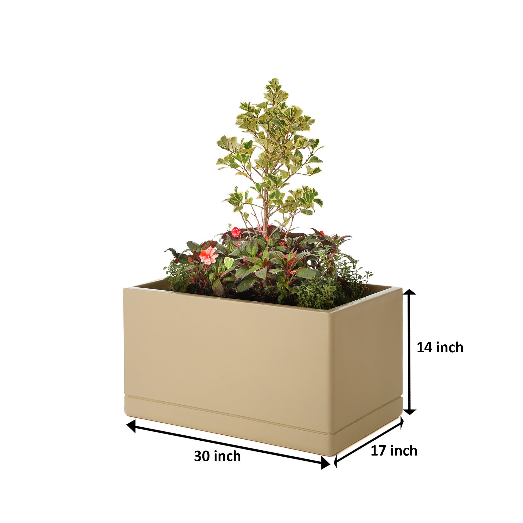 Cav Sli - Self Watering Planter