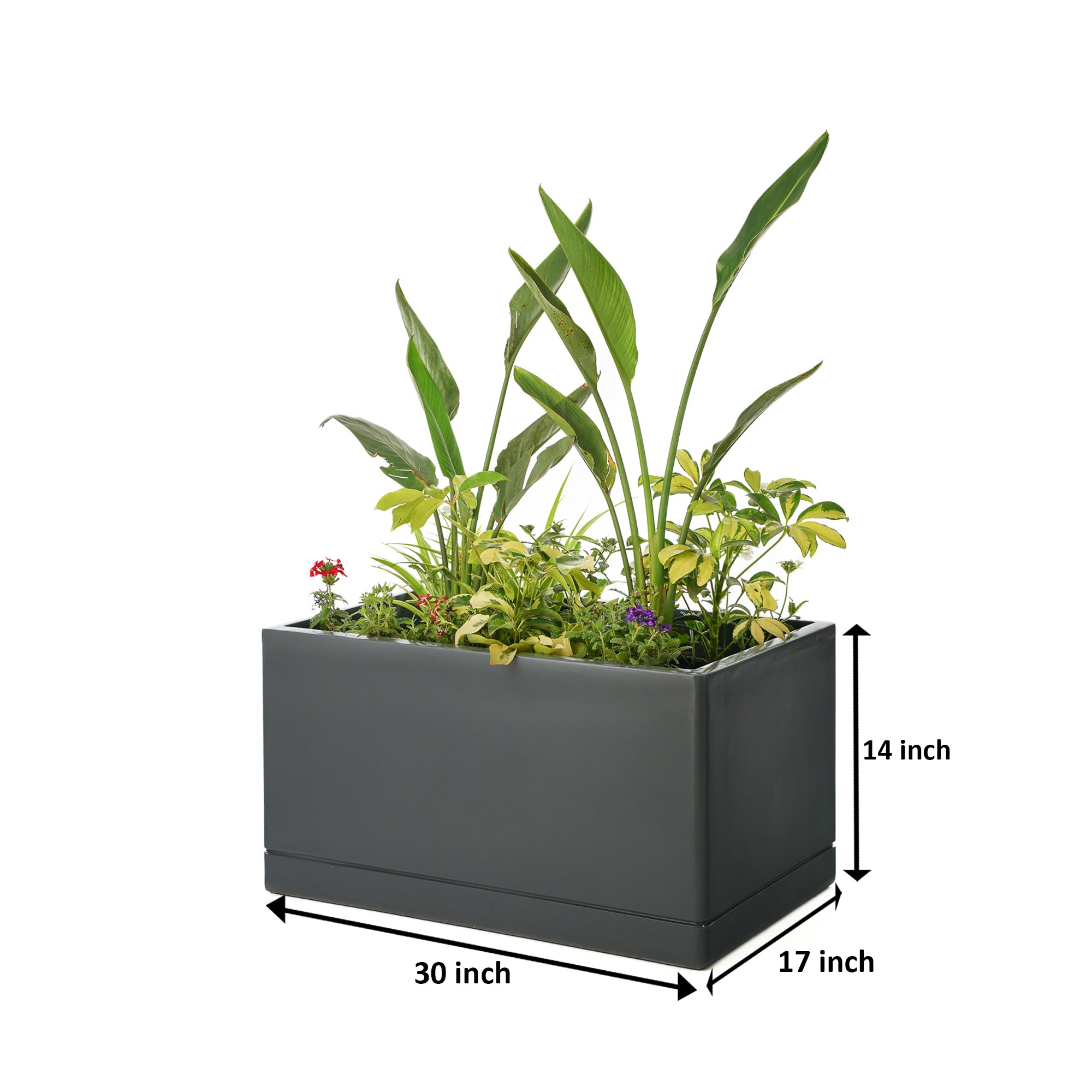 Cav Sli - Self Watering Planter