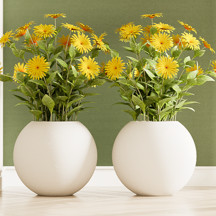 Rou Compe Self Watering Planter