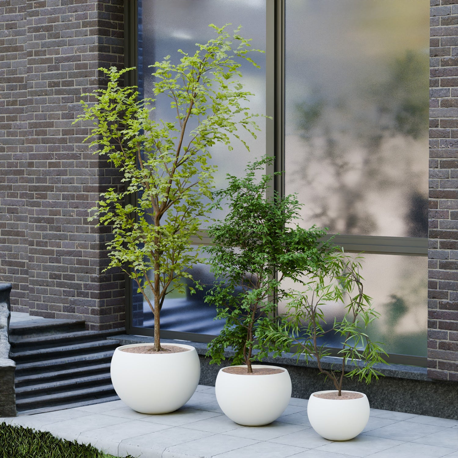 Rou Compe Self Watering Planter