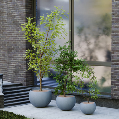 Rou Compe Self Watering Planter