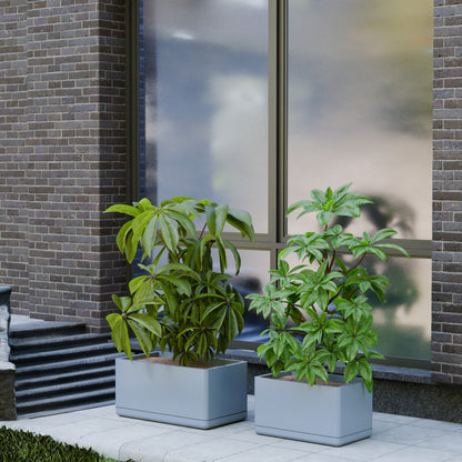 Cav Sli - Self Watering Planter