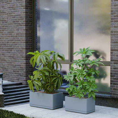 Cav Sli - Self Watering Planter