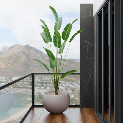 Rou Compe Self Watering Planter