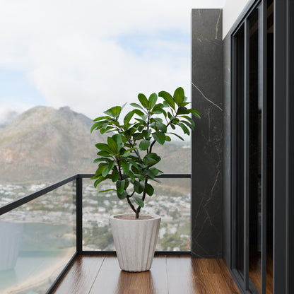 Ed Rad Self Watering Planter