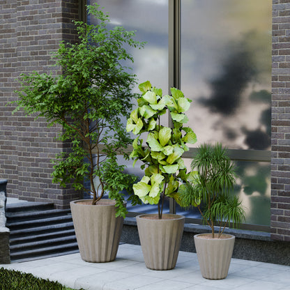 Ed Rad Self Watering Planter