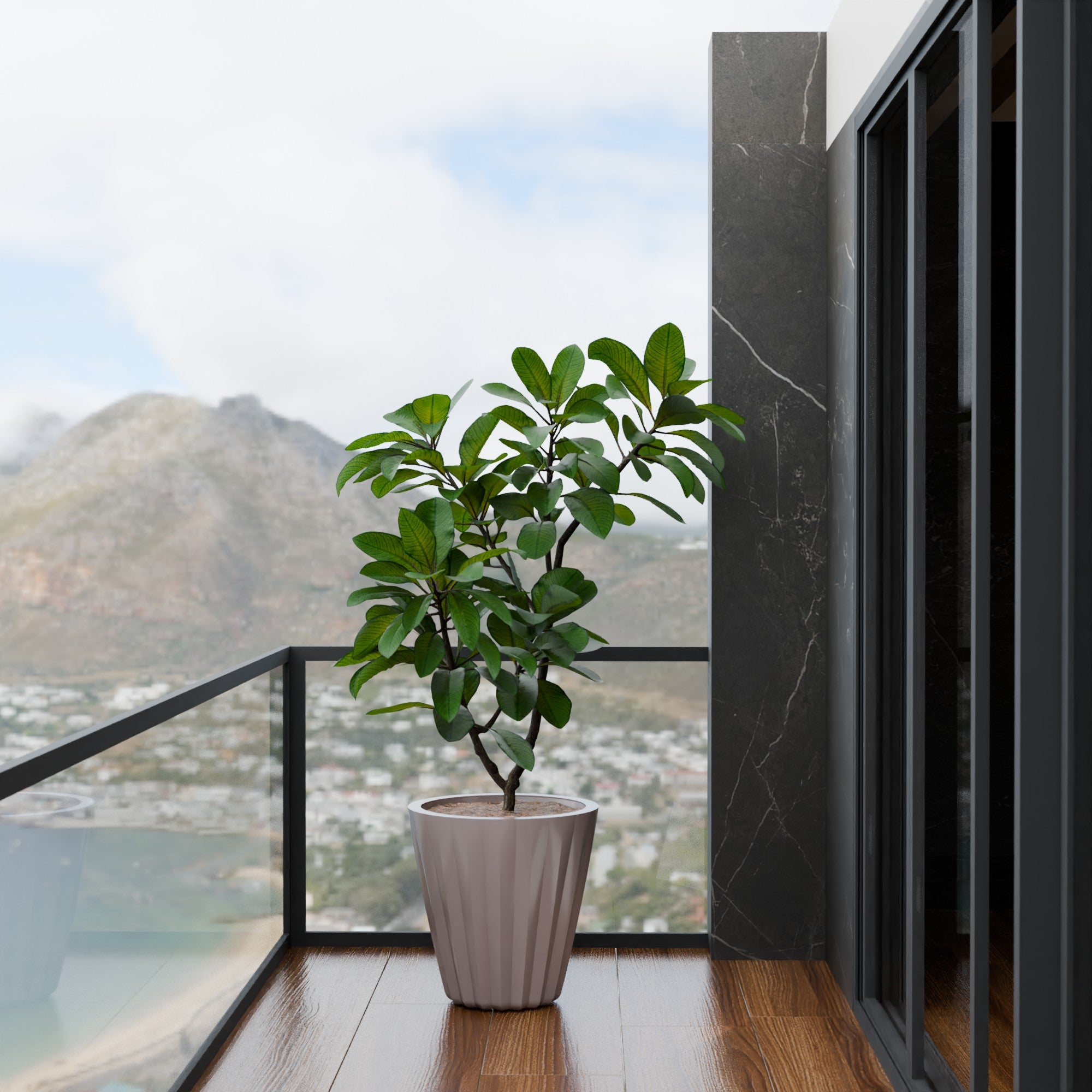 Ed Rad Self Watering Planter