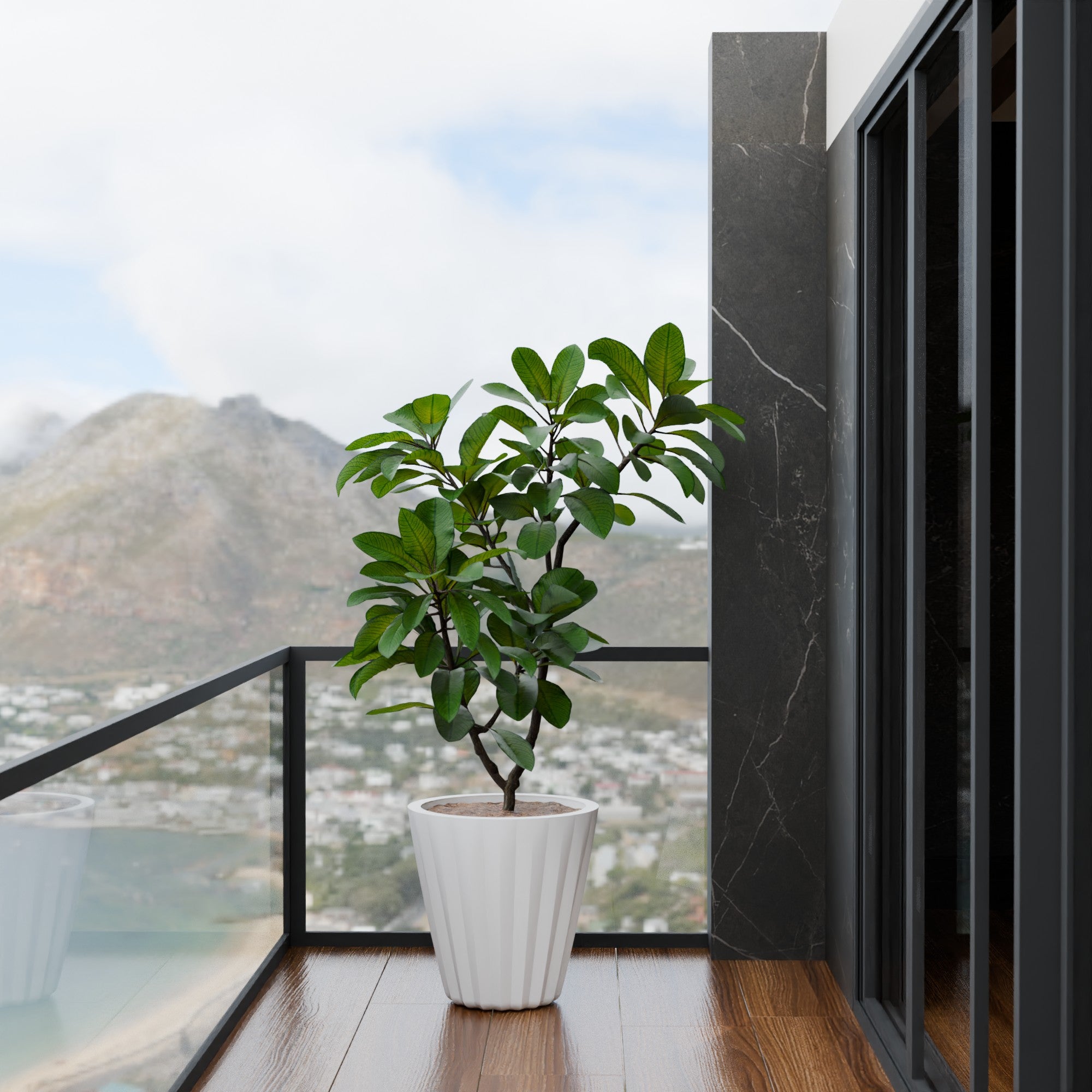 Ed Rad Self Watering Planter