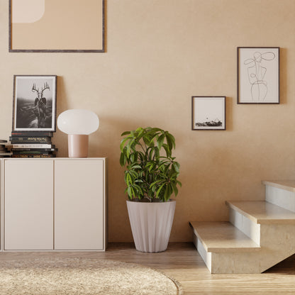 Ed Rad Self Watering Planter