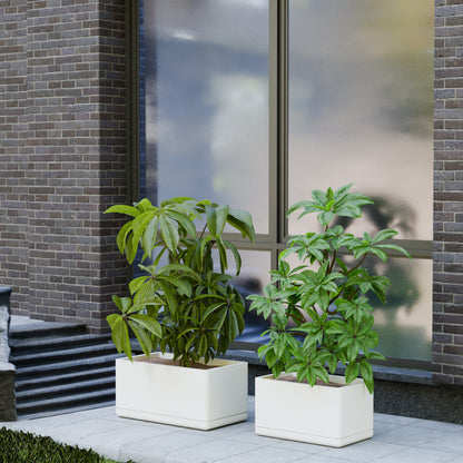 Cav Sli - Self Watering Planter