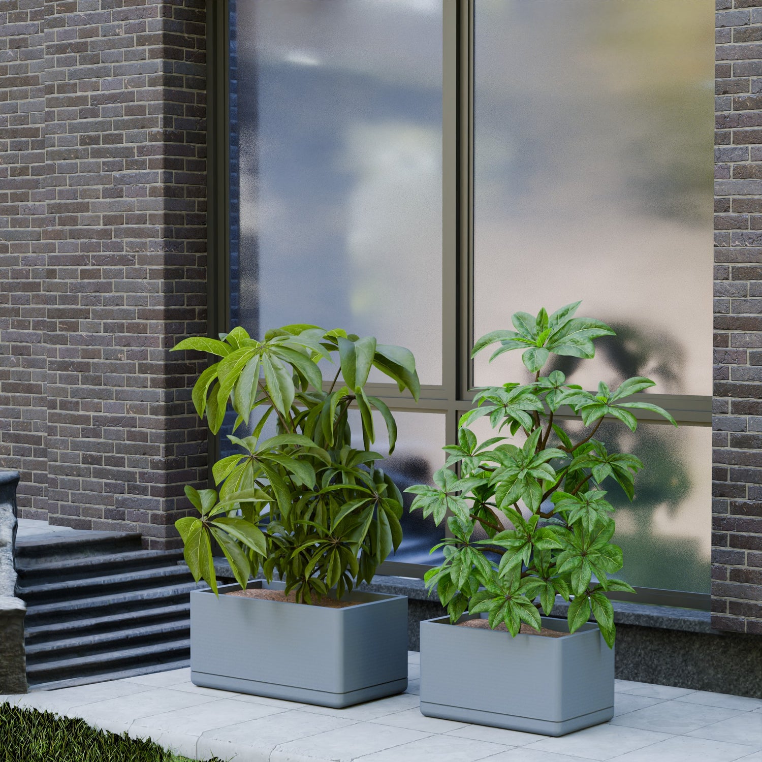 Cav Sli - Self Watering Planter