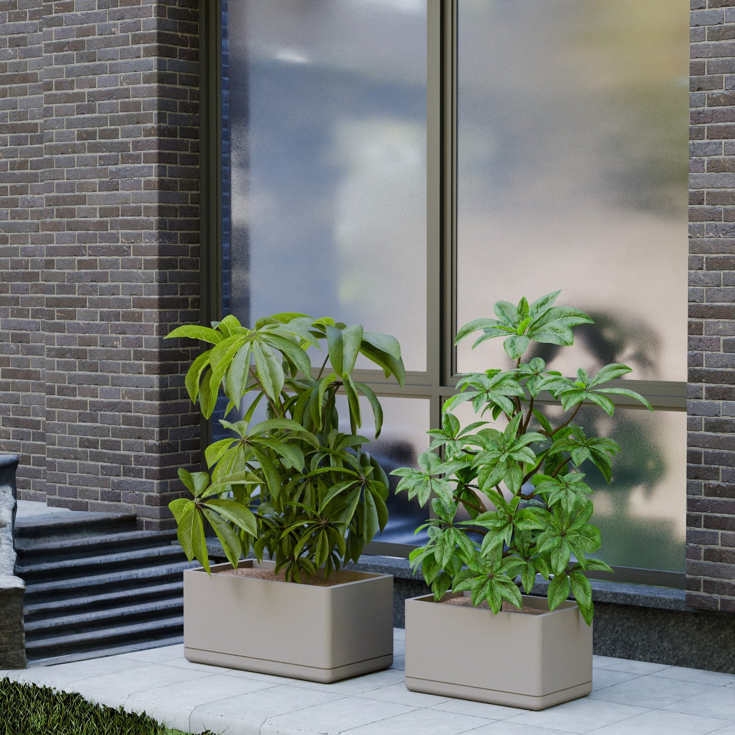 Cav Sli - Self Watering Planter