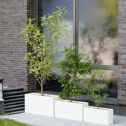 Mod Aura - Self Watering Planter