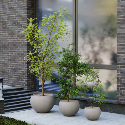 Rou Compe Self Watering Planter