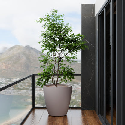 Attr Vis - Self Watering Planter