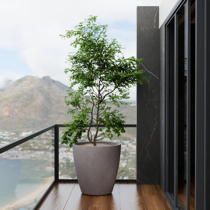 Attr Vis - Self Watering Planter