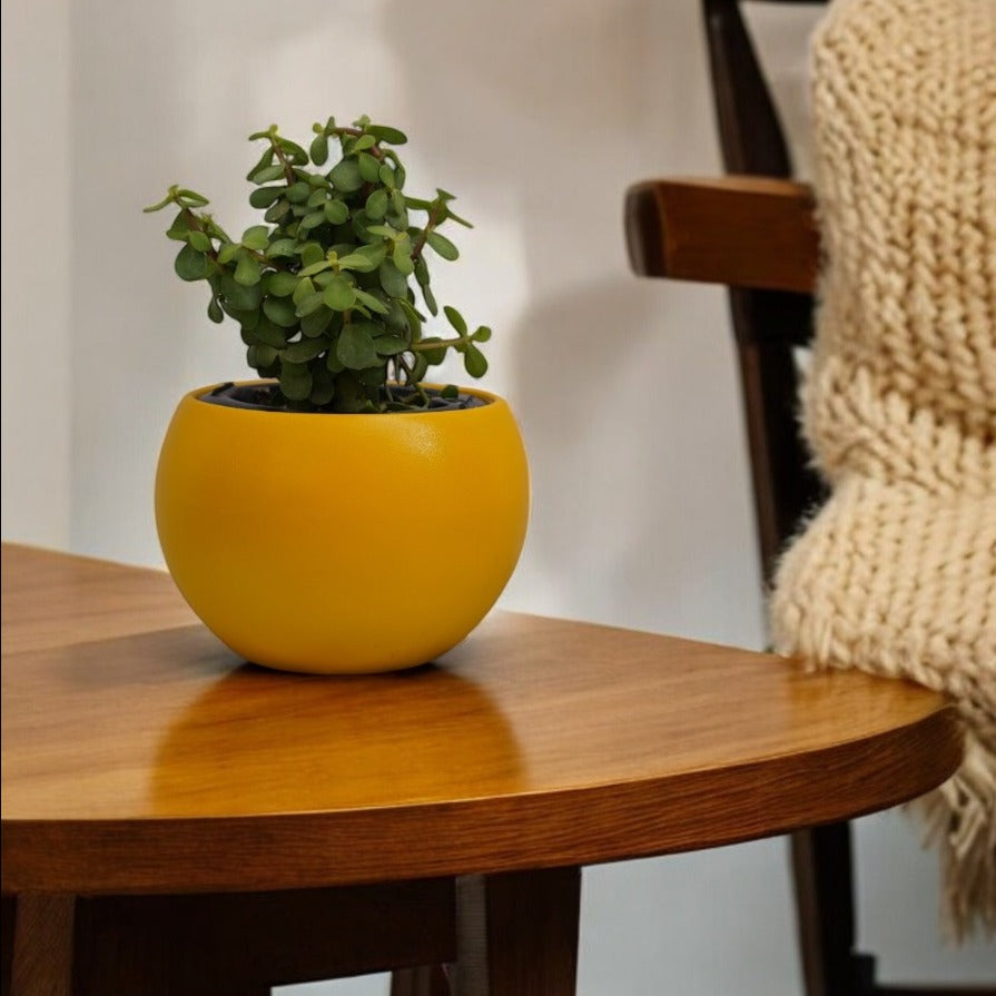 Rou Compe Self Watering Planter