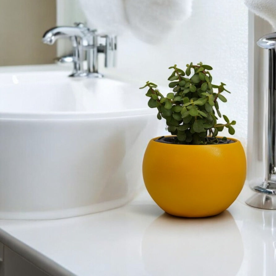 Rou Compe Self Watering Planter