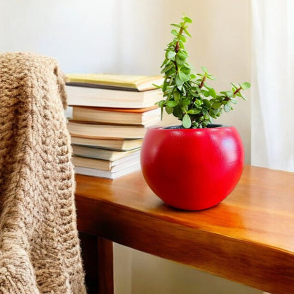 Rou Compe Self Watering Planter