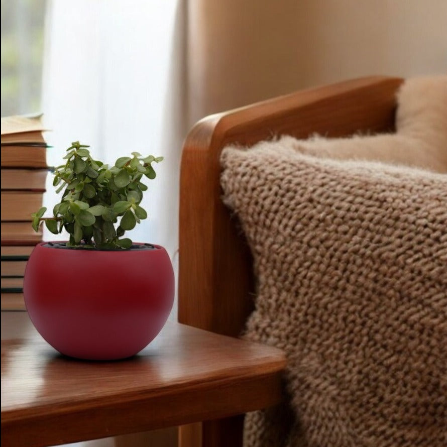 Rou Compe Self Watering Planter