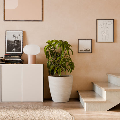 Attr Vis - Self Watering Planter