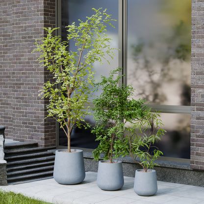 Nov Exp Self Watering Planter