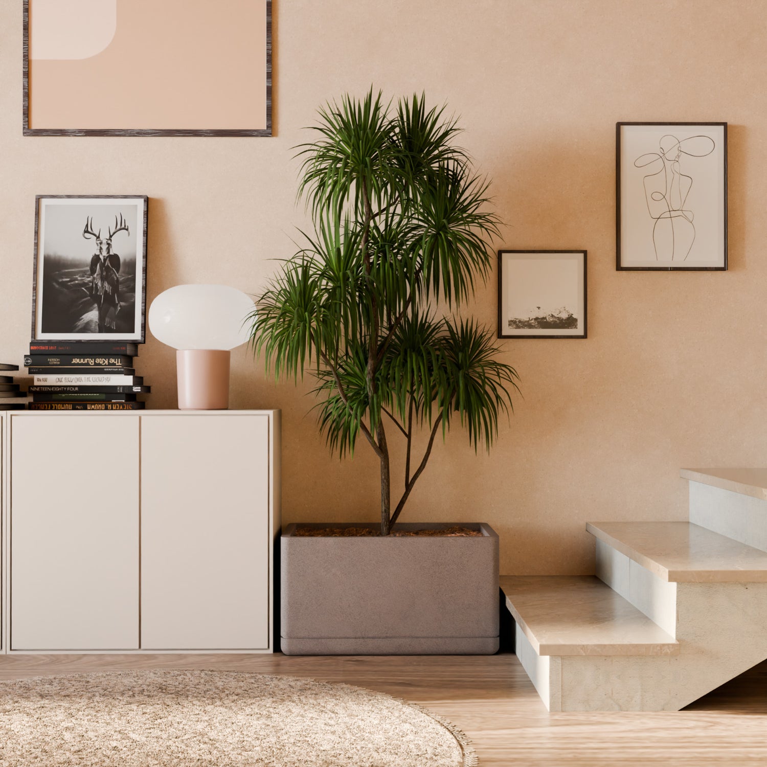 Cav Sli - Self Watering Planter