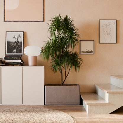 Cav Sli - Self Watering Planter