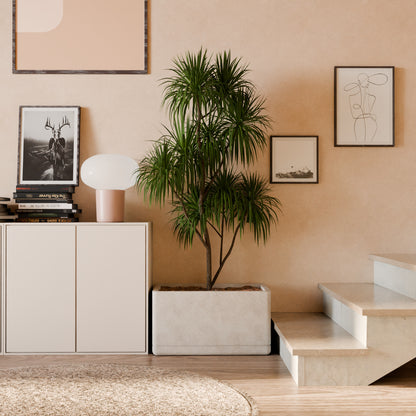 Cav Sli - Self Watering Planter