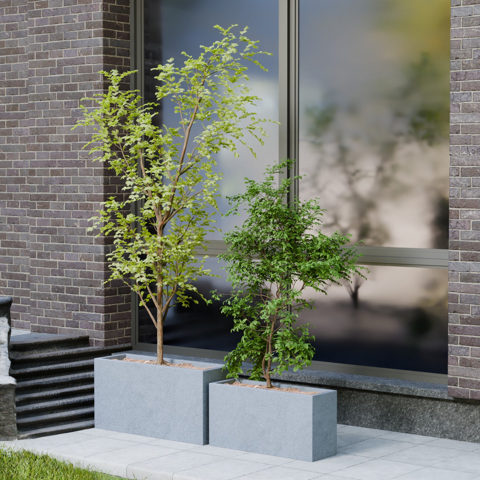 Mod Aura - Self Watering Planter