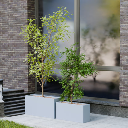 Mod Aura - Self Watering Planter