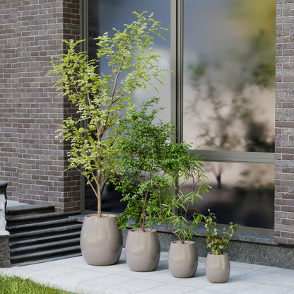 Flora Fux - Self Watering Planter