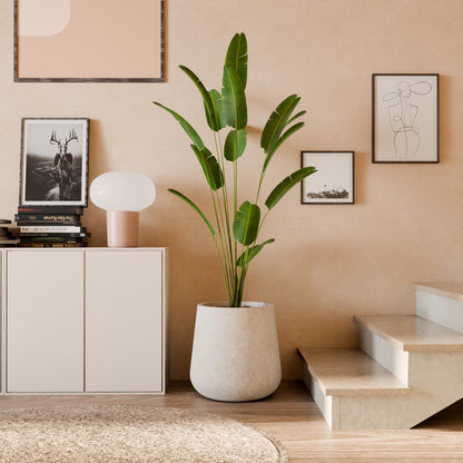 Nov Exp Self Watering Planter