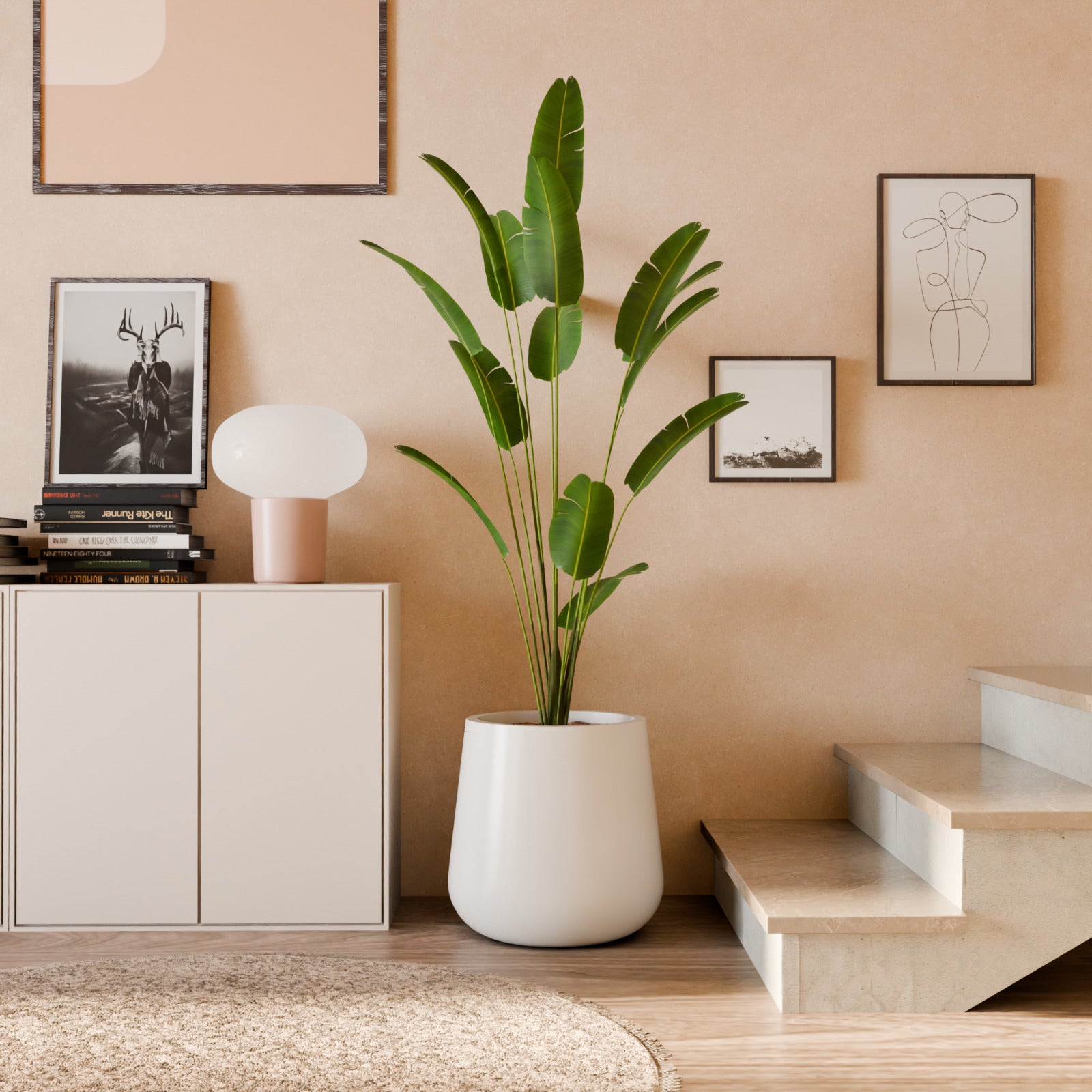 Nov Exp Self Watering Planter