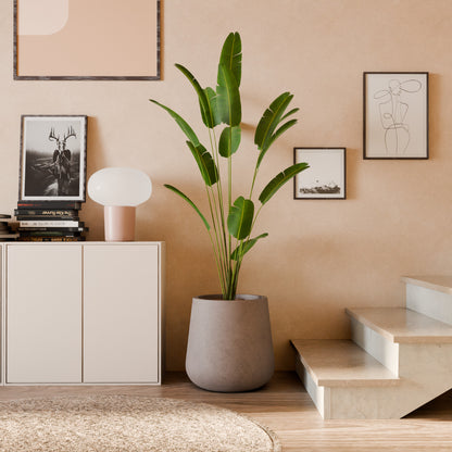 Nov Exp Self Watering Planter