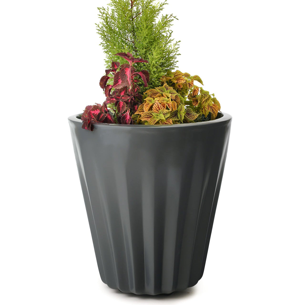 Ed Rad Self Watering Planter