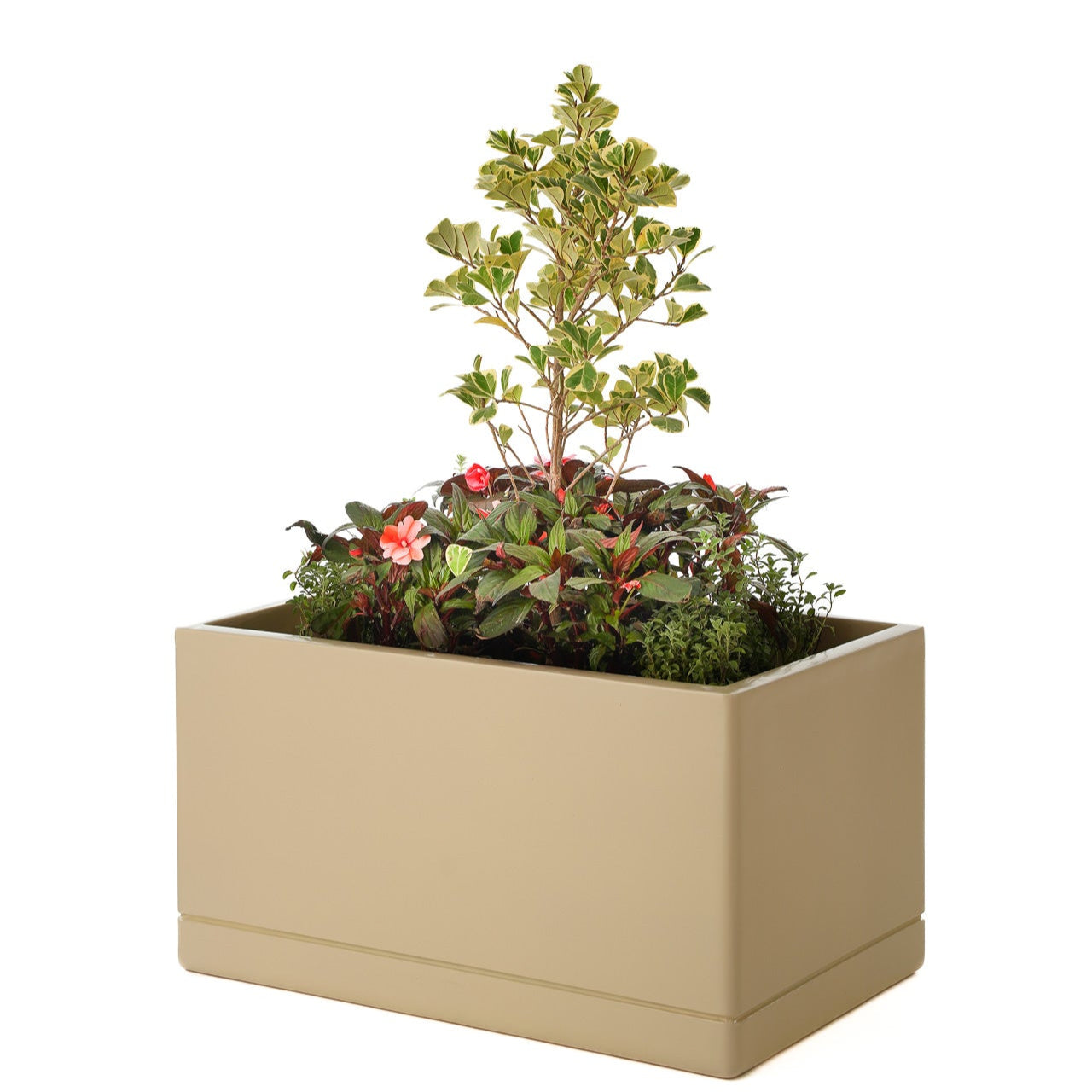 Cav Sli - Self Watering Planter
