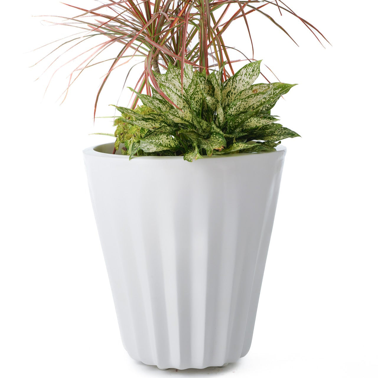 Ed Rad Self Watering Planter